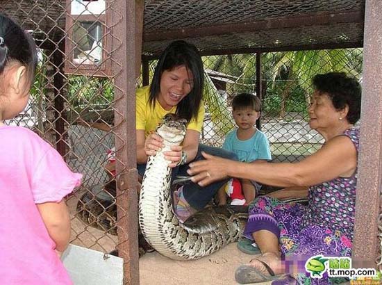Παίζοντας με ένα τεράστιο φίδι (5)