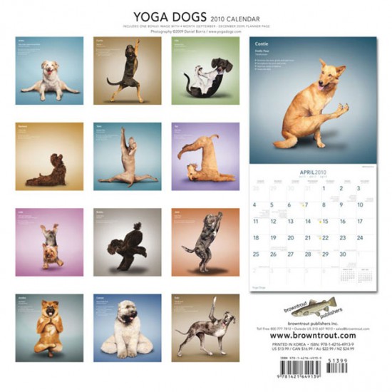 Ημερολόγιο με σκυλιά που κάνουν Yoga