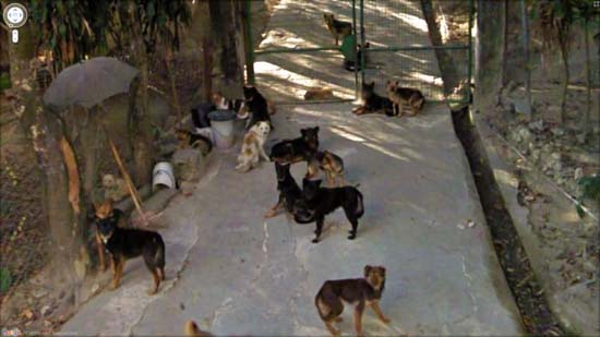 Google Street View (10)