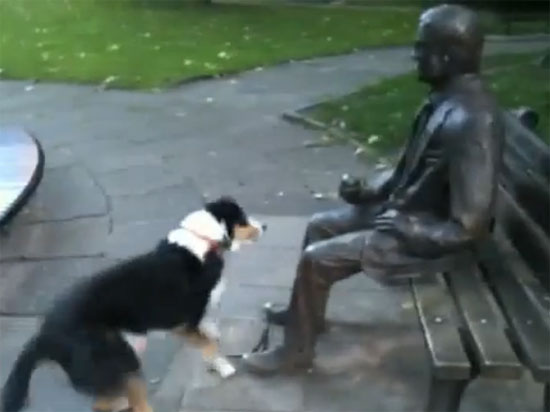 Σκύλος προσπαθεί να παίξει με άγαλμα
