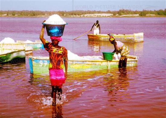 Ροζ λίμνη στη Σενεγάλη (2)