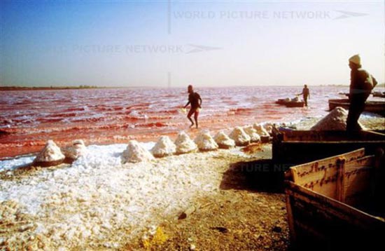 Ροζ λίμνη στη Σενεγάλη (5)