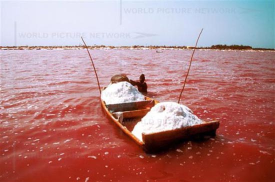Ροζ λίμνη στη Σενεγάλη (7)