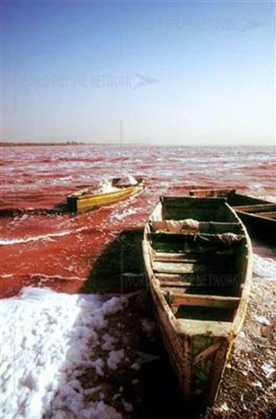 Ροζ λίμνη στη Σενεγάλη (20)