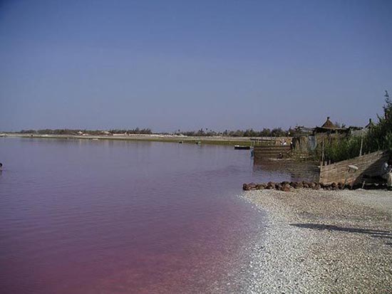 Ροζ λίμνη στη Σενεγάλη (22)