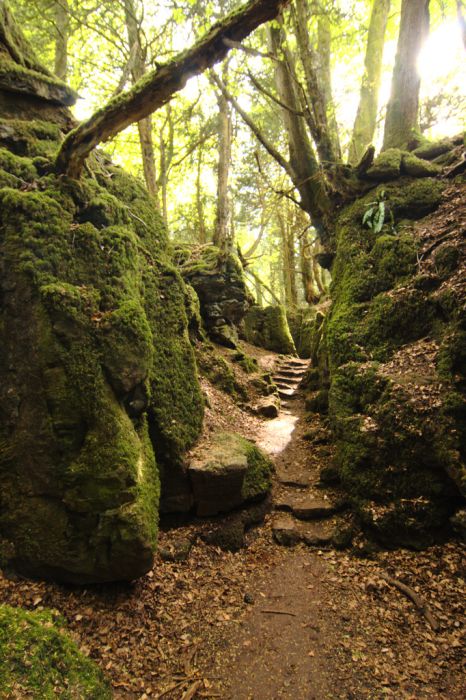Puzzlewood: Η έμπνευση του Tolkien για την Middle-earth (4)