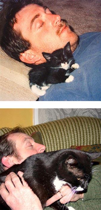 Γάτες τότε και τώρα (12)