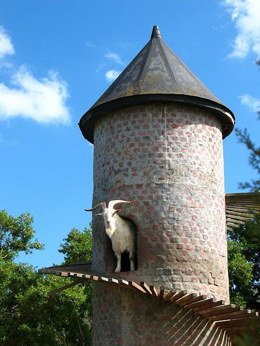 Goat Tower (2)