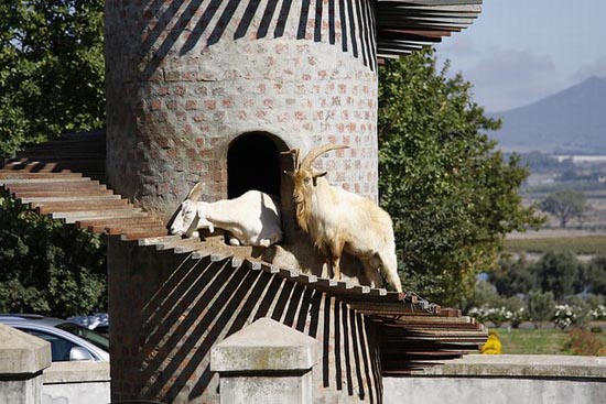 Goat Tower (3)