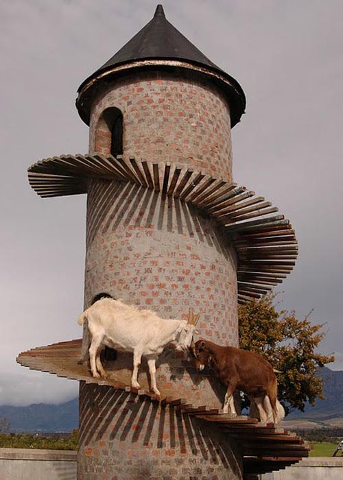 Goat Tower (8)