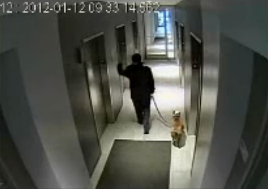 Απίστευτο ατύχημα με σκύλο στο ασανσερ