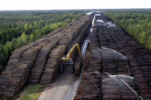 Ο μεγαλύτερος χώρος αποθήκευσης ξυλείας στον κόσμο (1)