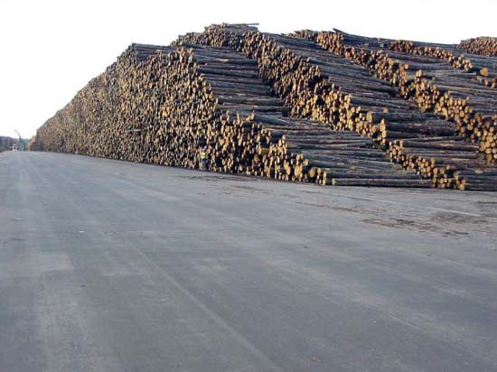 Ο μεγαλύτερος χώρος αποθήκευσης ξυλείας στον κόσμο (2)