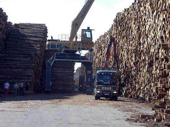 Ο μεγαλύτερος χώρος αποθήκευσης ξυλείας στον κόσμο (3)