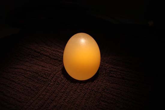 Ενδιαφέρον πείραμα: Αβγό μέσα σε ξύδι (5)