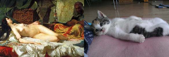Όταν οι γάτες μιμούνται διάσημους πίνακες ζωγραφικής... (13)