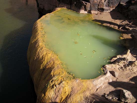 Pumpkin Spring: Μια θανατηφόρα πισίνα με αρσενικό στο Grand Canyon (2)