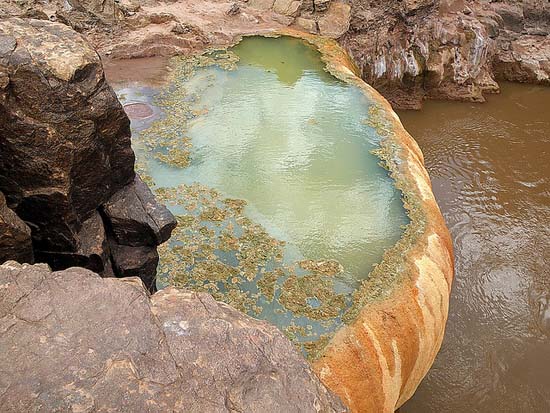 Pumpkin Spring: Μια θανατηφόρα πισίνα με αρσενικό στο Grand Canyon (4)