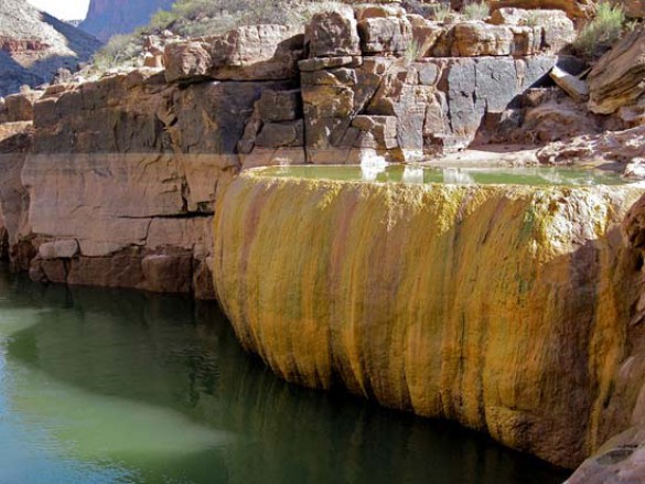 Pumpkin Spring: Μια θανατηφόρα πισίνα με αρσενικό στο Grand Canyon (6)