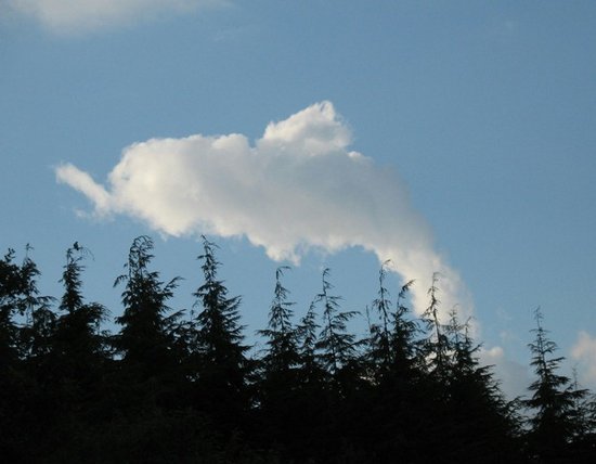 Σύννεφα που μοιάζουν με πράγματα (9)