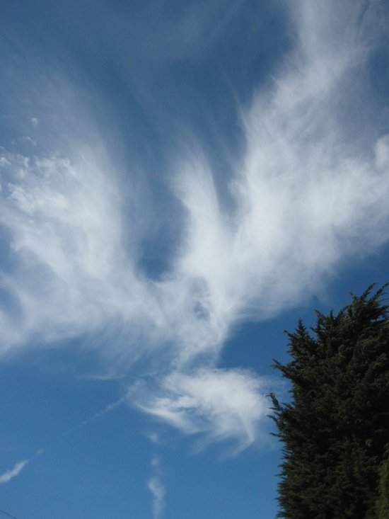 Σύννεφα που μοιάζουν με πράγματα (11)
