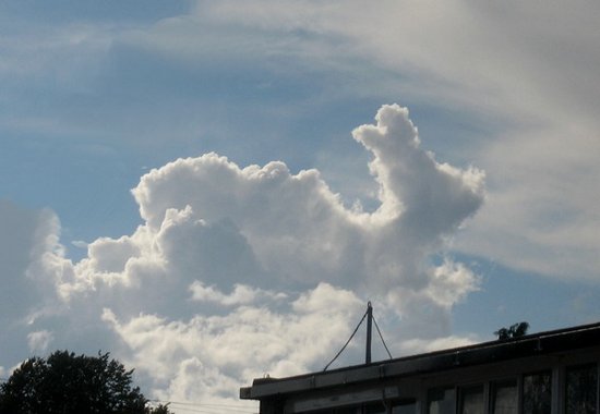 Σύννεφα που μοιάζουν με πράγματα (24)
