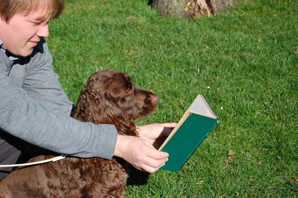 Σκύλοι που λατρεύουν το διάβασμα (5)