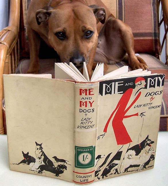 Σκύλοι που λατρεύουν το διάβασμα (6)