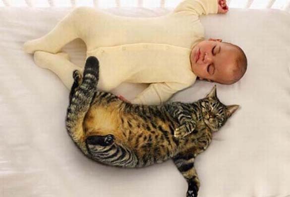 Γάτες και μωρά (2)