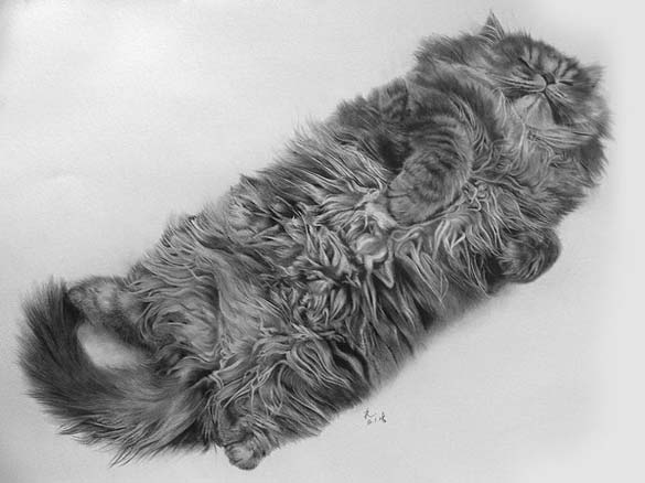 15 γάτες που δεν θα πιστεύετε ότι είναι μόνο σκίτσα με μολύβι (8)