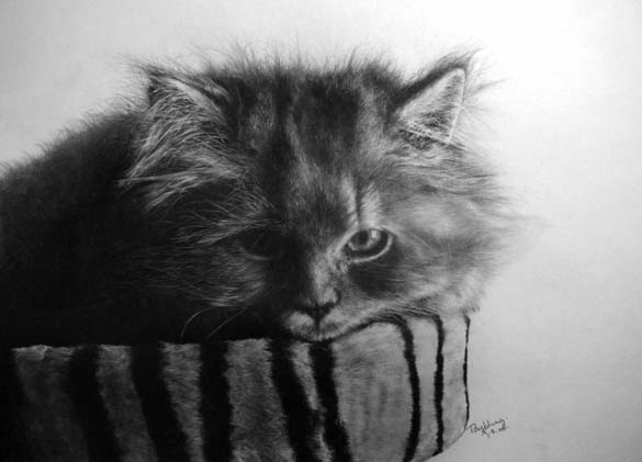 15 γάτες που δεν θα πιστεύετε ότι είναι μόνο σκίτσα με μολύβι (15)