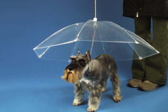 Παράξενες ομπρέλες (4)
