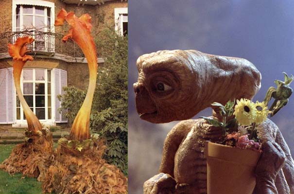 10 πράγματα που δεν γνωρίζατε για τον E.T. (10)