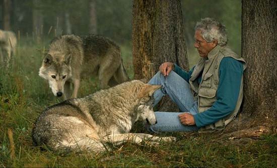 Ζώντας με τους λύκους (4)