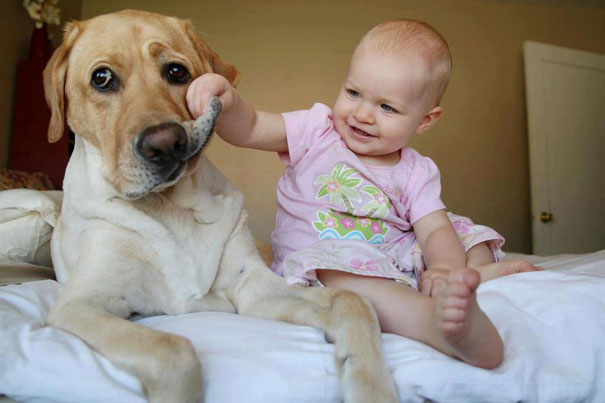 Σκύλοι: Οι καλύτεροι φίλοι του ανθρώπου | Otherside.gr