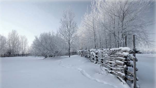 Ο Χειμώνας σε 35 υπέροχες φωτογραφίες (2)