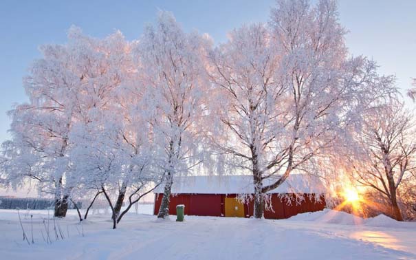 Ο Χειμώνας σε 35 υπέροχες φωτογραφίες (5)
