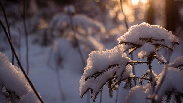 Ο Χειμώνας σε 35 υπέροχες φωτογραφίες (13)