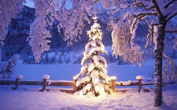 Ο Χειμώνας σε 35 υπέροχες φωτογραφίες (24)