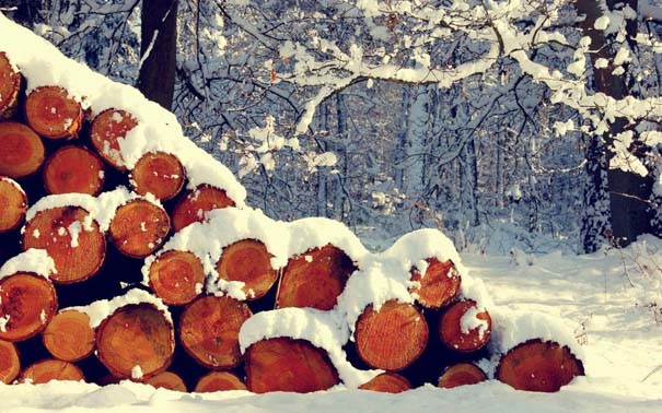 Ο Χειμώνας σε 35 υπέροχες φωτογραφίες (31)