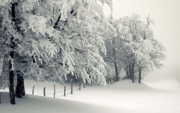 Ο Χειμώνας σε 35 υπέροχες φωτογραφίες (25)