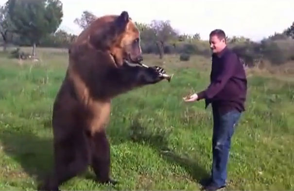 Αυτή η αρκούδα τρελαίνει κόσμο!