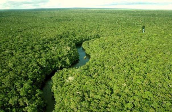 Μαγευτική φωτογραφική περιήγηση στα δάση του Αμαζονίου (12)