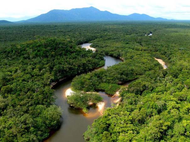 Μαγευτική φωτογραφική περιήγηση στα δάση του Αμαζονίου (23)