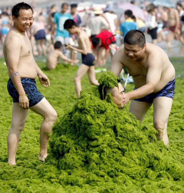 «Θάλασσα» από πράσινο στις ακτές της Κίνας (14)