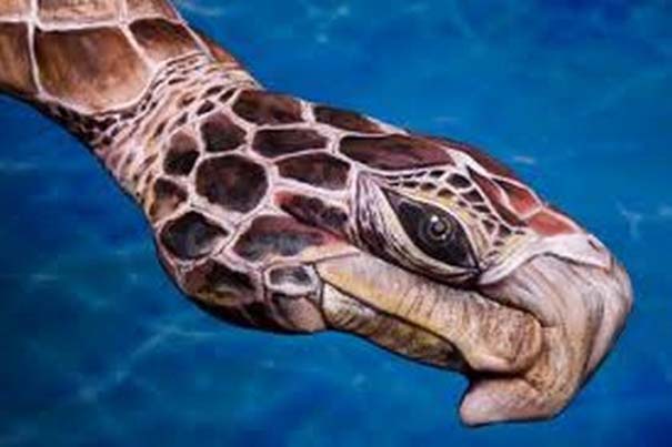 Απίστευτες ζωγραφιές ζώων σε ανθρώπινα χέρια (7)