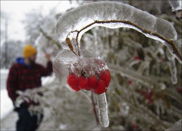 Εντυπωσιακές εικόνες που άφησε πίσω της μια παγοθύελλα στον Καναδά (10)
