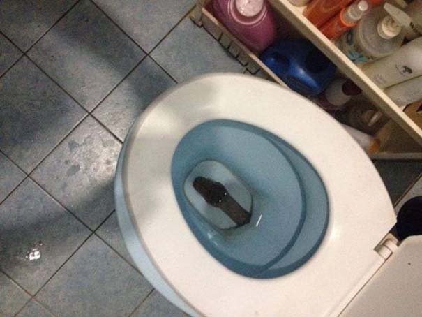 diaforetiko.gr : anapantexos episkeptis stin toualeta 02 ΤΡΟΜΟΣ!!! ΔΕ ΦΑΝΤΑΖΕΣΤΕ τι βρήκαν στην τουαλέτα!!!