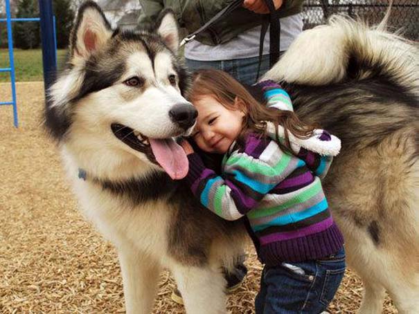 Φωτογραφίες που αποδεικνύουν πως οι σκύλοι είναι οι καλύτεροι φίλοι των παιδιών (2)
