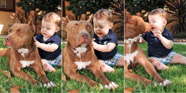 Φωτογραφίες που αποδεικνύουν πως οι σκύλοι είναι οι καλύτεροι φίλοι των παιδιών (9)